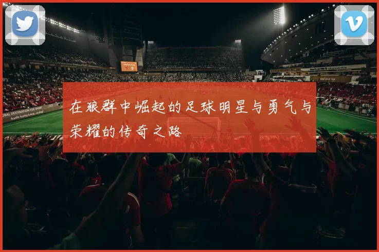 在狼群中崛起的足球明星与勇气与荣耀的传奇之路