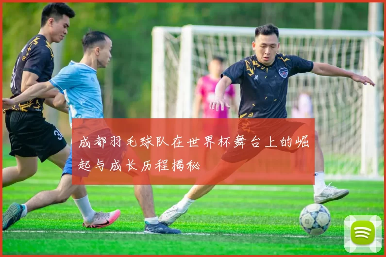 成都羽毛球队在世界杯舞台上的崛起与成长历程揭秘