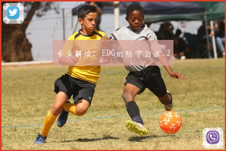 专业解读：EDG的防守打法_2